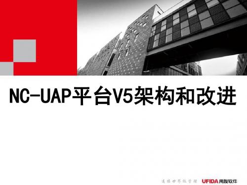 NC-UAP平台V5架构和改进