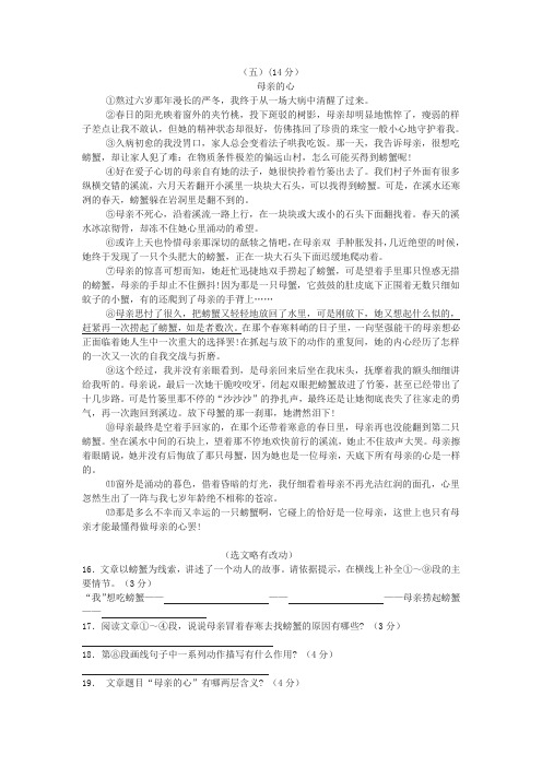 《母亲的心》中考现代文阅读练习及答案