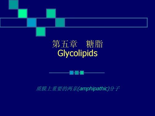 chap5 糖脂