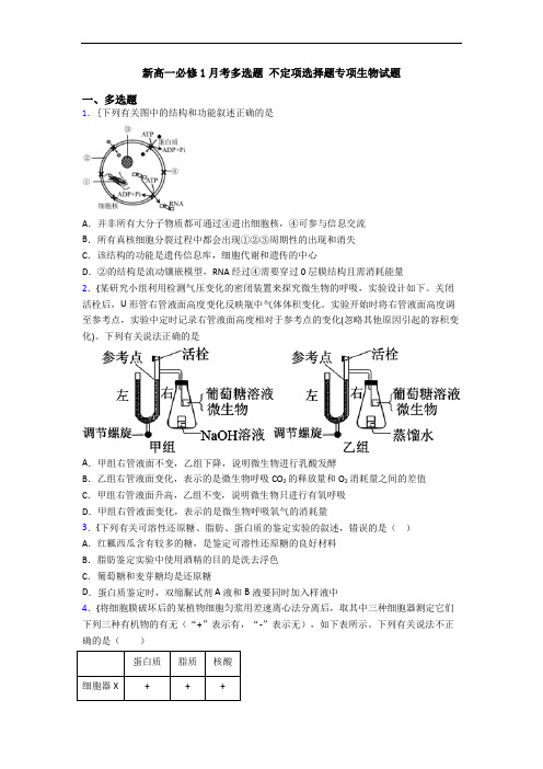 新高一必修1月考多选题 不定项选择题专项生物试题