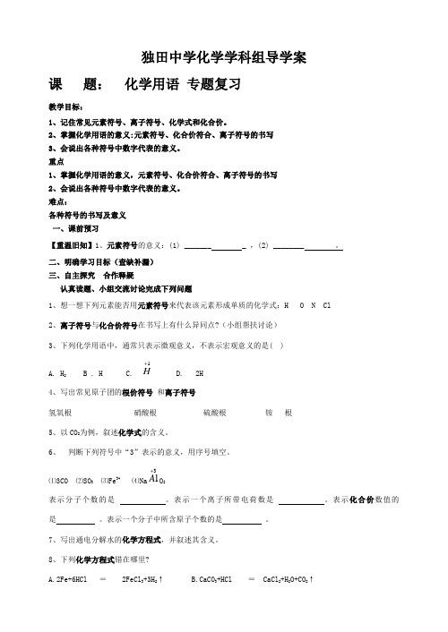 化学人教版九年级上册专题复习---《化学用语》