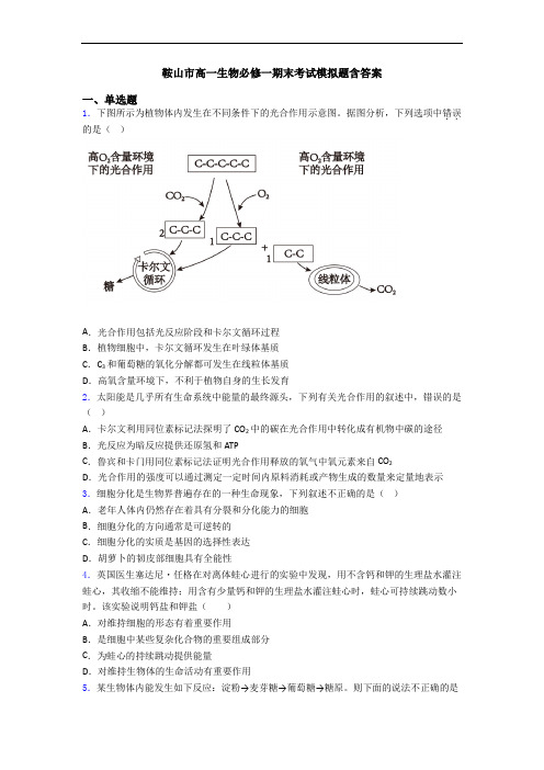 鞍山市高一生物必修一期末考试模拟题含答案