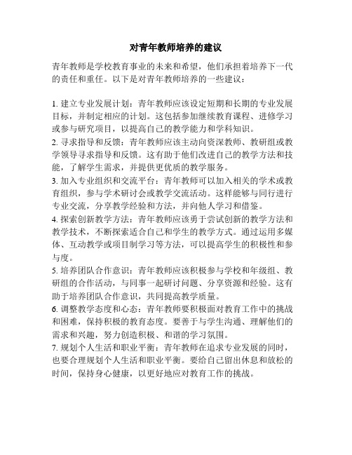 对青年教师培养的建议