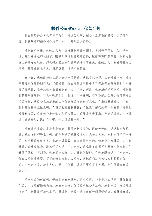 软件公司核心员工保留计划