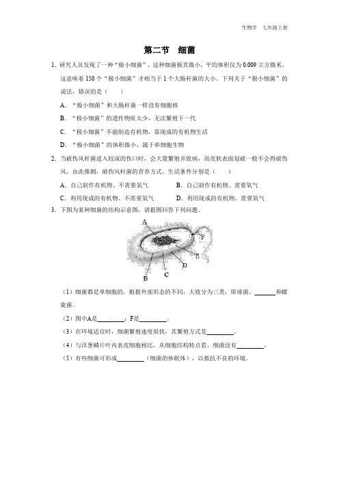 七年级-人教版(2024新版)-生物-上册-[综合训练]初中生物学-七年级上册-第三章第二节-细菌