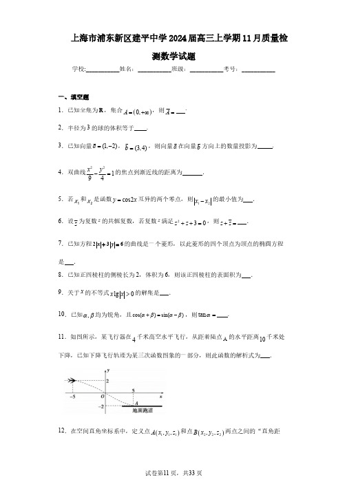 上海市浦东新区建平中学2024届高三上学期11月质量检测数学试题