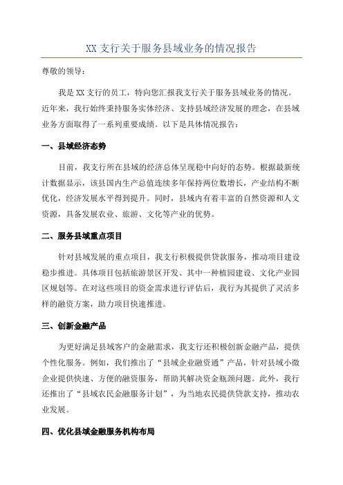 XX支行关于服务县域业务的情况报告