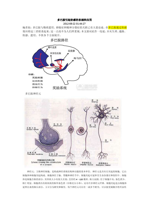 20140606-多巴胺引起快感的机制和应用（成瘾）