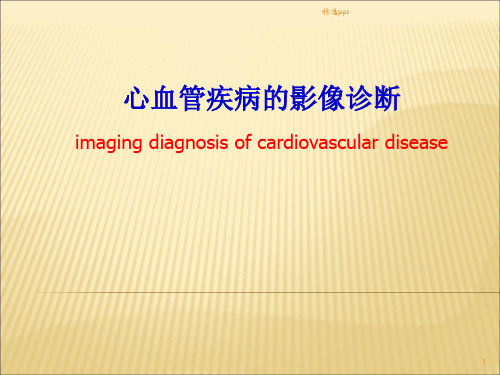 心血管疾病的影像诊断