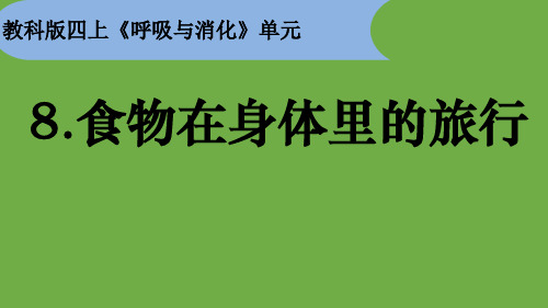 教科版科学四年级上册 2.8 食物在身体里的旅行 课件(共16张PPT)