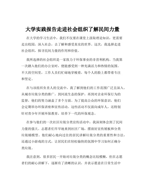 大学实践报告走进社会组织了解民间力量