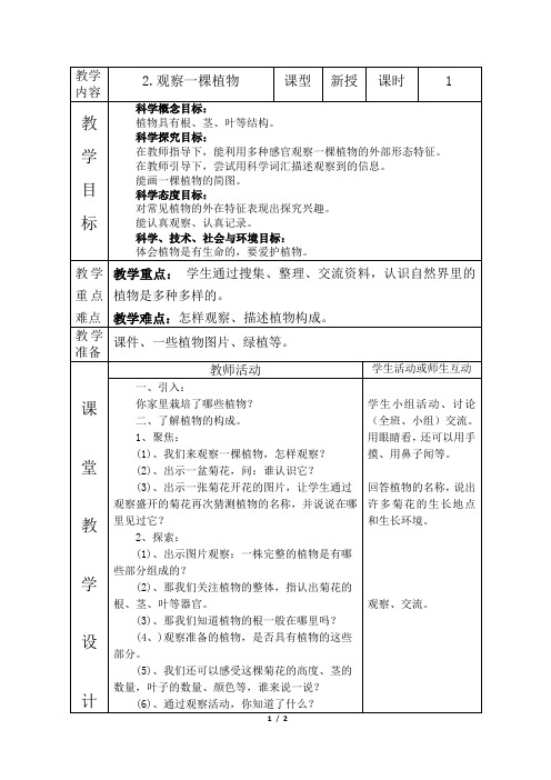 教科版小学一年级科学《观察一棵植物》教案1