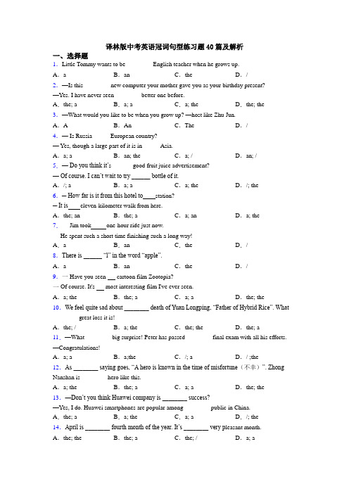 译林版中考英语冠词句型练习题40篇及解析