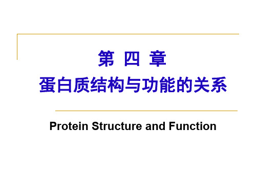 第四章 蛋白质的功能【生物化学】