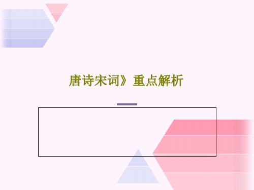 唐诗宋词》重点解析38页PPT