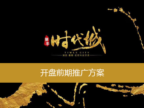 房地产阜阳推广方案