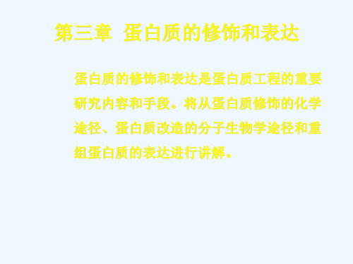 蛋白质的修饰和表达