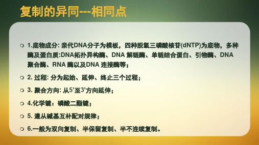 讨论原核生物与真核生物复制转录翻译过程特点的异同ppt课件
