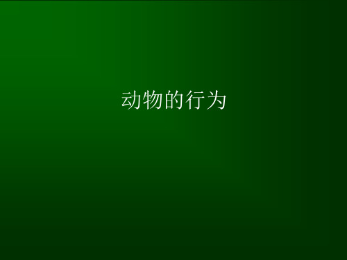 浙教版八年级上册科学动物的行为