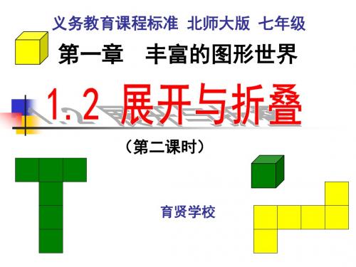 展开与折叠