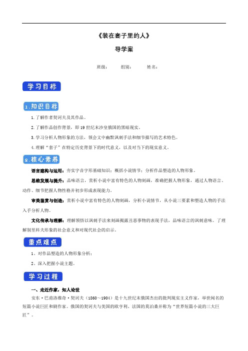 高中语文必修下 6132《装在套子里的人》导学案