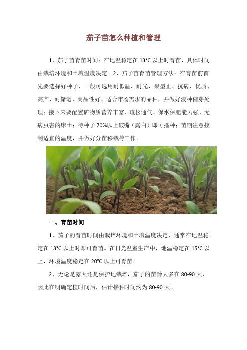 茄子苗怎么种植和管理