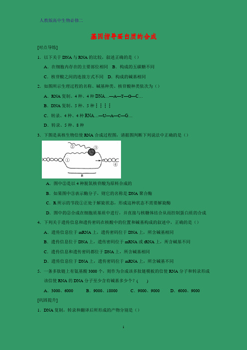 高中生物必修二课时作业22：4.1基因指导蛋白质的合成