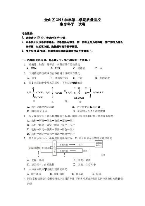 上海市金山区2018-2019学年第二学期高中(二模)等级考调研测试生命科学试卷含答案(可编辑修改word版)