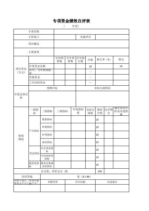 专项资金绩效评价自评表模板