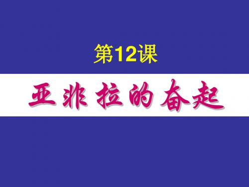 亚非拉的奋起PPT课件 人教版