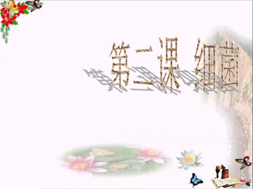 六年级科学上册细菌PPT课件3