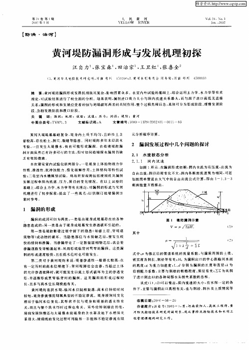 黄河堤防漏洞形成与发展机理初探