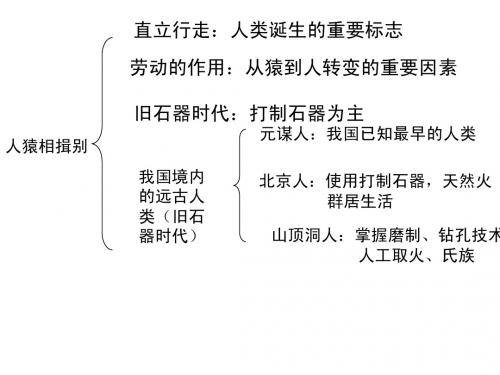 七年级上历史与社会第一、二单元知识整理