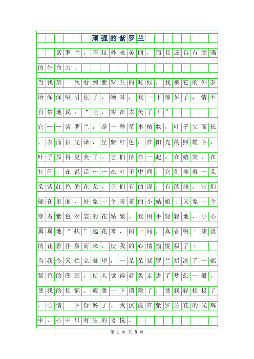 2019年顽强的紫罗兰作文500字
