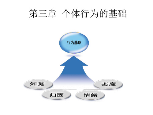 个体行为的基础课程