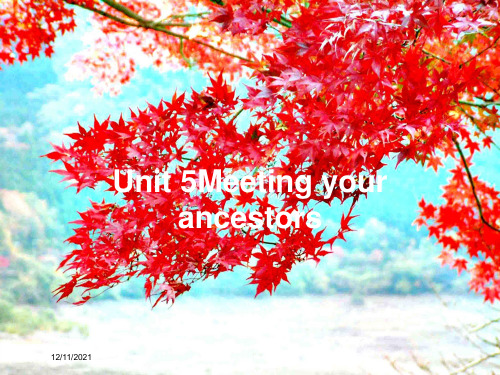 高中英语unit5meetingyourancestorssectionⅰ8英语