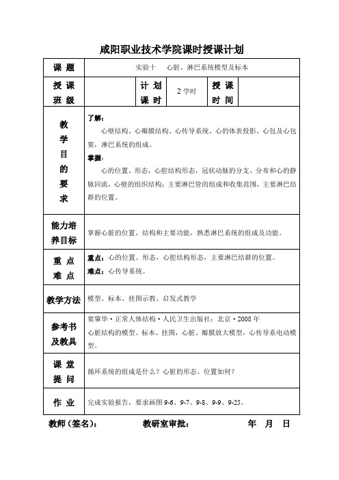 实验十 心脏模型及标本