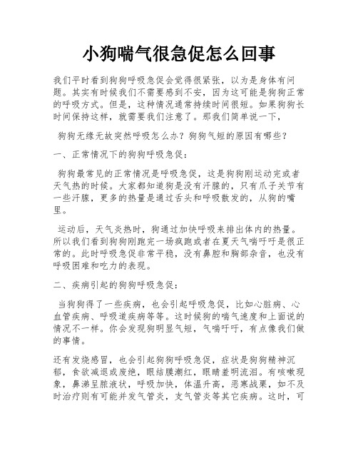 小狗喘气很急促怎么回事