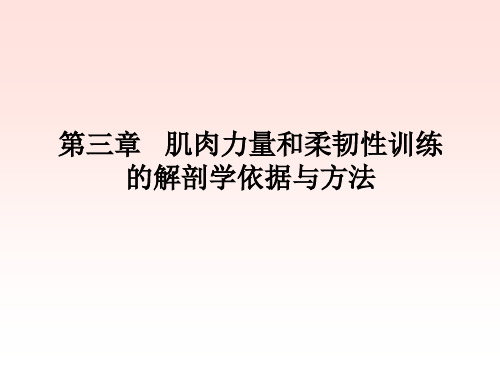 12上肢肌肉力量和柔韧性训练的解剖学依据与方法