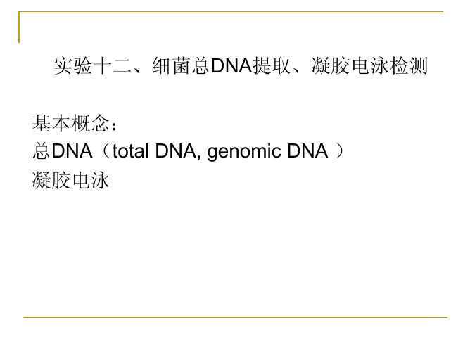 细菌总DNA提取原理与方法