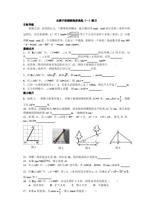 从梯子的倾斜程度谈起(一)练习