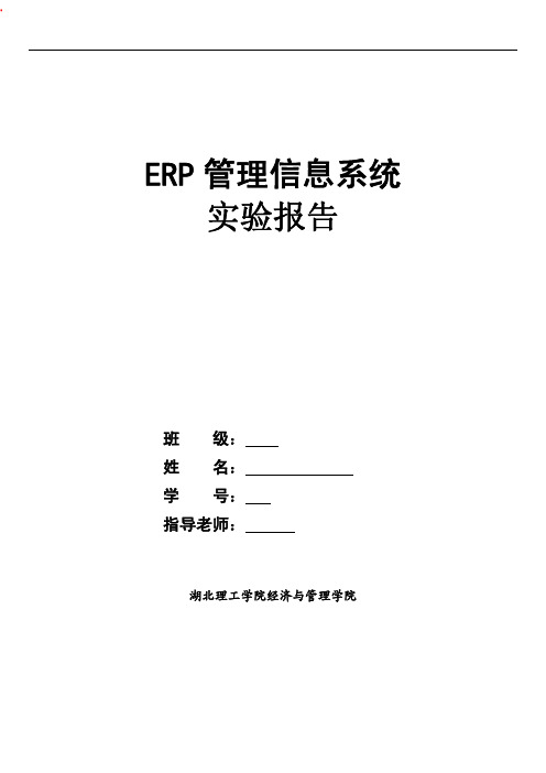 ERP管理信息系统实验报告