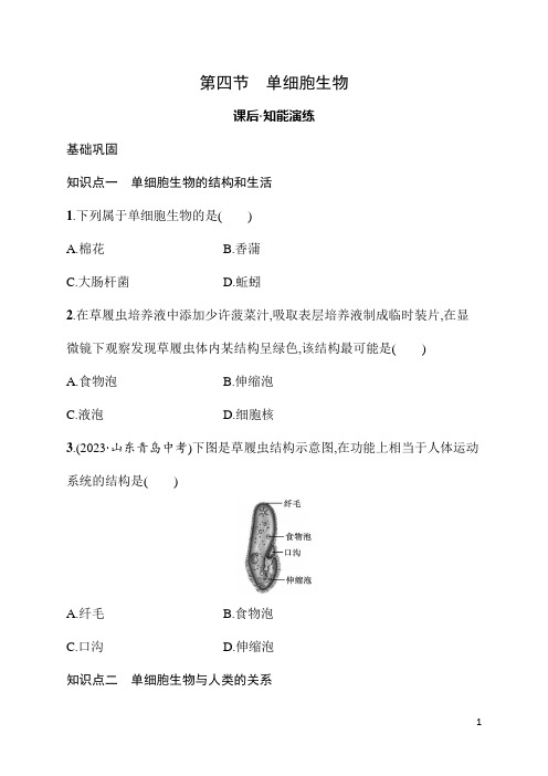 3.4单细胞生物 同步练习 人教版(2024)生物七年级上册