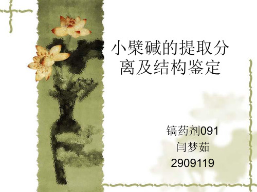 小檗碱的提取分离新的