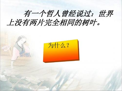 菱角的喜剧PPT22 粤教版