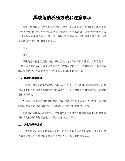 黑腹龟的养殖方法和注意事项