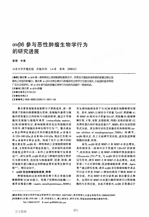 αvβ6参与恶性肿瘤生物学行为的研究进展