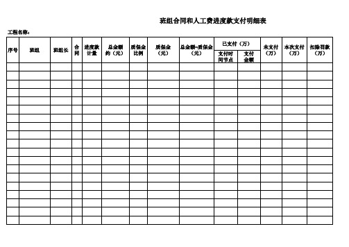 班组合同和人工费进度款支付明细表 