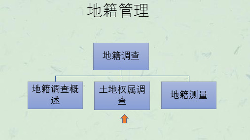 土地权属调查编号课件