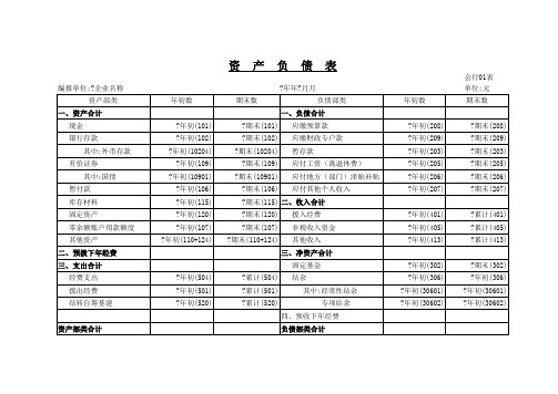 行政单位-资产负债表